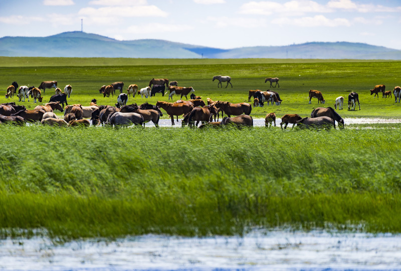 内蒙古，自然奇观与文化精髓的交融之地