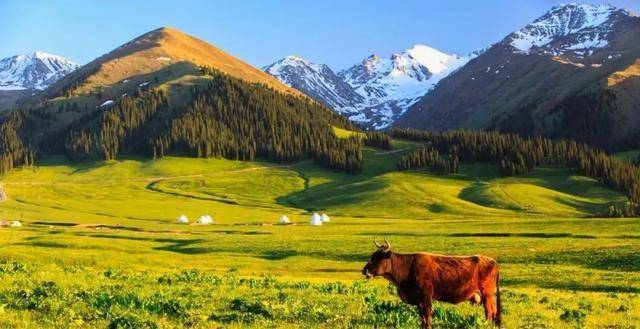 丝路明珠新疆，多元文化瑰宝之地